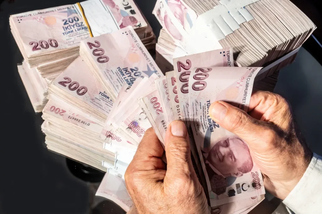 vatandaşlık maaşı başvuru