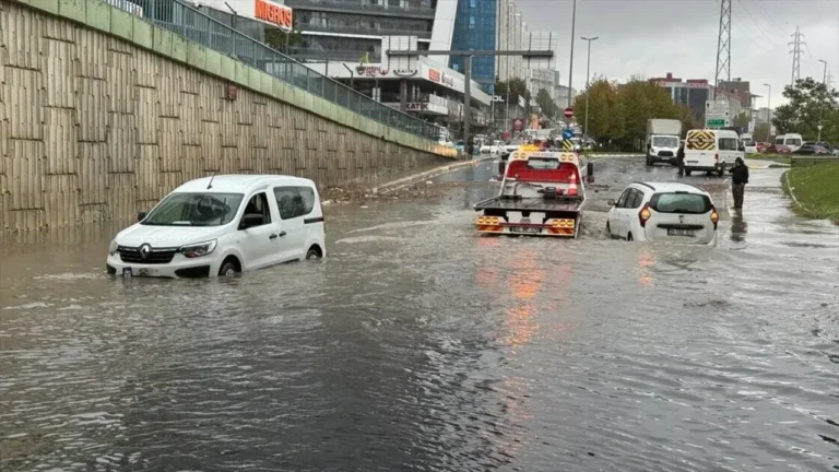 sigorta sel karşılar mı
